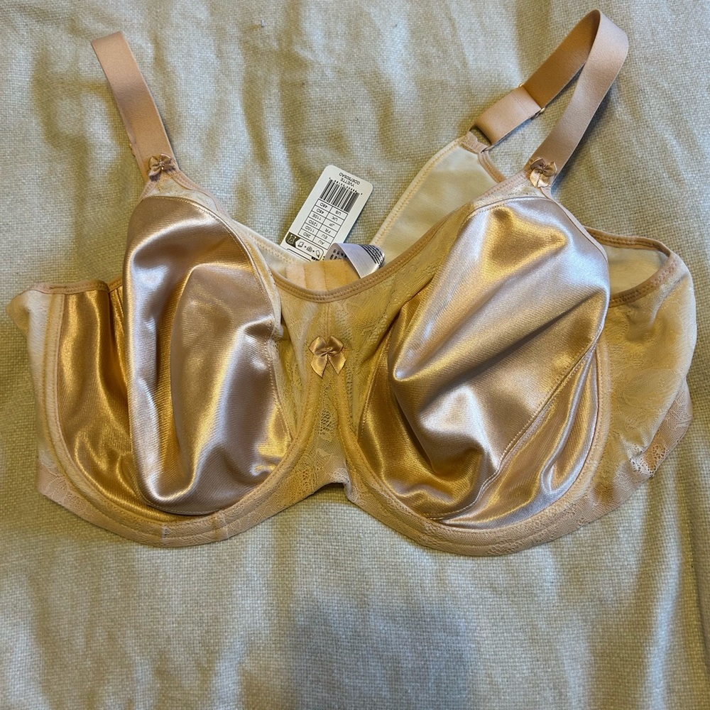 Goddess Yvette bra size 48D NWT